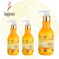 Anti dandruff anti hair loss chinese ginger extract ginger shampoo